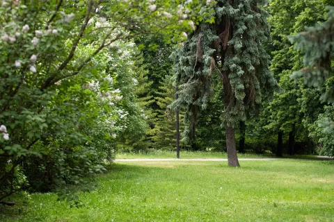 Autor -Airika Harrik - ERR. Linnaloodus